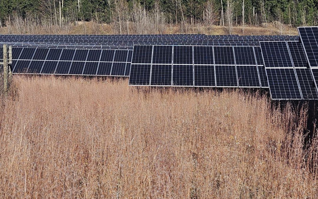 The Critical Role of Mowing Solar Fields for Fire Prevention
