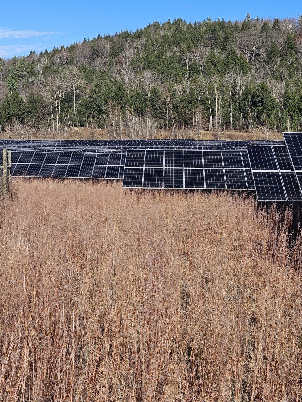 The Critical Role of Mowing Solar Fields for Fire Prevention | MHI ...
